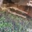 2-pt-rotary-mower-image-10