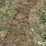 tractor-chains-image-15