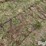 tractor-chains-image-10