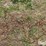 tractor-chains-image-10