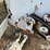 piester-dry-fertilizer-spreader-image-14