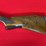 remington-wingmaster-model-870tb-pump-action-shotgun-12-gauge-image-7