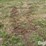 tractor-chains-image-2