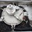 1993-brenner-307-ss-insulated-t/a-chemical-tanker-trailer-image-26