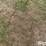 tractor-chains-image-16