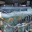 bobcat-763-image-44