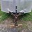 2020-cargo-express-image-9