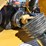 county-line-3pt-4'-rotary-tiller-image-5