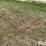tractor-chains-image-7