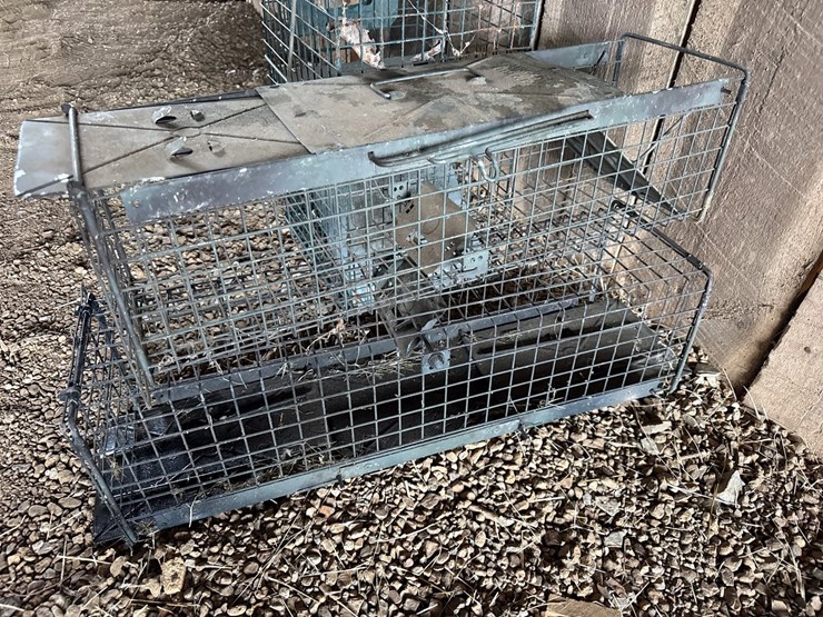#60-•-(4)-animal-traps-image-3