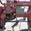 international-cub-image-16