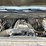 2016-chevrolet-silverado-2500hd-image-9