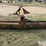 kewanee-3-pt-blade-image-6