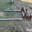 2-pt-single-bale-mover-image-8