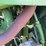 john-deere-620-image-27