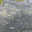harvest-king-16.9-24-r1,-10pr-tractor-tires-image-4
