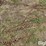 tractor-chains-image-12