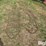 tractor-chains-image-2