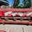 2010-case-ih-2208-image-6