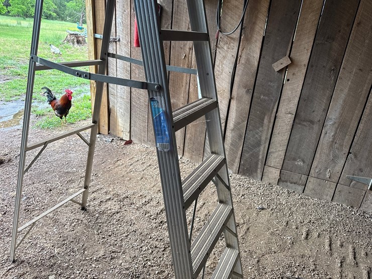 #62-•-werner-8’-step-ladder-and-wooden-ladder-image-2
