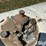 trinity-tank-image-17