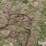 tractor-chains-image-12