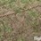 tractor-chains-image-14