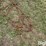 tractor-chains-image-13
