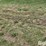 tractor-chains-image-8
