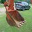 ditch-witch-rt55-image-8