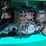 #l41-011-•-lot-l41-011-image-23