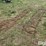 tractor-chains-image-1