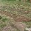 tractor-chains-image-3