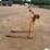 #9112-•-set-of-backhoe-forks-image-4