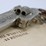 #36030-•-wyatt-earp-.44-revolver--movie-prop-image-17