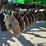 2016-john-deere-2623vt-image-14