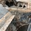 #1950-•-2005-klamar-30-yard-truck-image-29