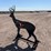 ar500-steel-deer-shooting-target-with-heart-flapper-image-4