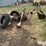 digz-all-800-pull-type-backhoe-image-4