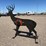 ar500-steel-deer-shooting-target-with-heart-flapper-image-3