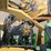 john-deere-6215-image-41