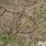 tractor-chains-image-9