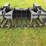 #5-•-hd-bobcat-72”-skid-steer-root-grapple-image-2