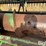 john-deere-920-image-11