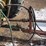 international-1100-image-13