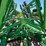 2016-john-deere-2623vt-image-4