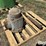 us-motors-hollo-shaft-gear-head-image-8