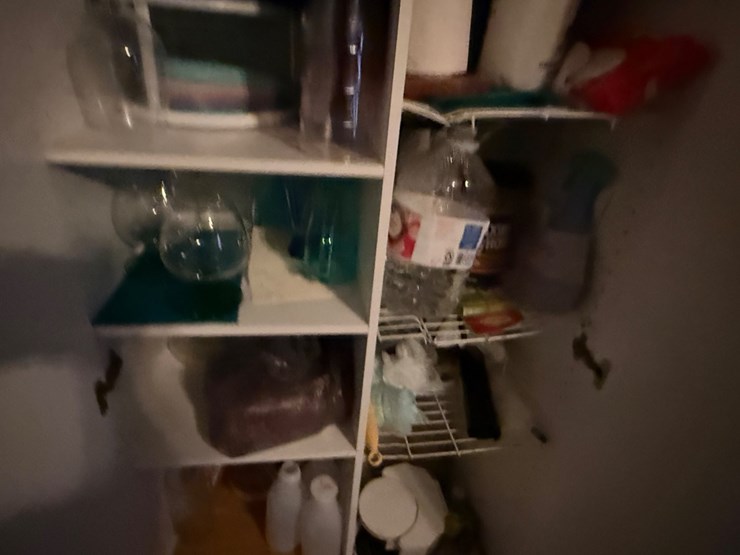 #96-•-cabinet-and-contents-image-3