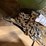 #49-•-various-chain-image-2