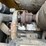 2007-caterpillar-414e-image-8